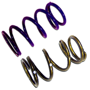 CPC Drive Clutch Springs (2015 or OLDER)